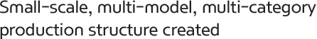 Small-scale, multi-model, multi-category production structure created