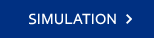 SIMULATION