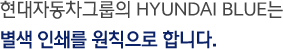 현대자동차그룹의 HYUNDAI BLUE는 별색 인쇄를 원칙으로 합니다.