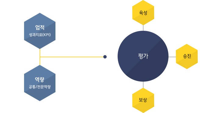 업적:성과지표(KPI) + 역량:공통/전문역량 –> 평가 –> 육성,승진,보상